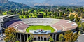 Go Bruins